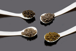 CAVIAR PREMIUM